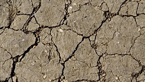 Graue, rissige Steinoberfläche mit kleinen hellen Steinchen und dunklen Rissen, die das ganze Bild durchziehen.
