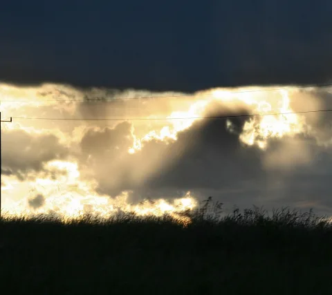 Abendhimmel mit gelb leuchtenden Wolken, darunter eine dunkle Wiese mit Gräsern und eine Stromleitung.