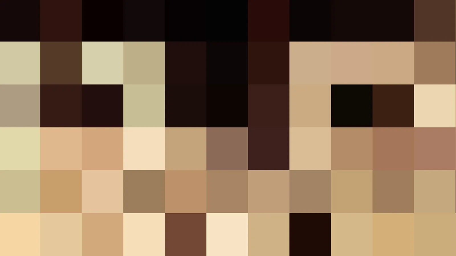Pixelmosaik eines Porträts mit dunklen Haaren oben und warmen Hauttönen im unteren Bereich.