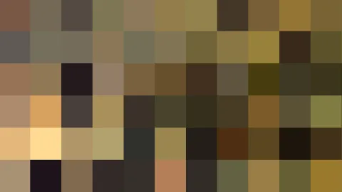 Pixeliges Mosaik aus braunen, oliven und beigen Farbfeldern in einem groben Raster.