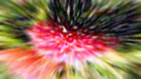 Abstrakte Komposition mit radialen Schlieren in Rot, Pink und Grün, im Zentrum hell, zu den Rändern hin dunkel.