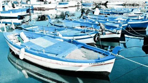 Mehrere blau-weiße Fischerboote liegen dicht nebeneinander in einem ruhigen Hafenbecken, im Vordergrund ist ein Boot mit der Aufschrift Graziella zu sehen, dessen Spiegelung im Wasser sichtbar ist.