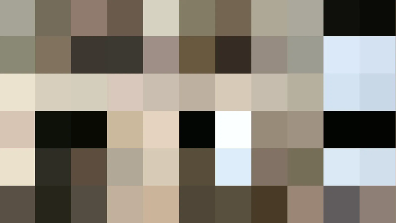 Rasterbild aus rechteckigen Farbblöcken in Beige, Braun, Schwarz, Weiß und hellem Blau