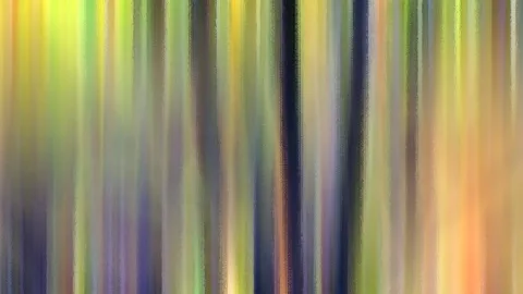 Abstrakte Komposition aus senkrechten, verwischten Streifen in Gelb, Grün, Blau und Orange, die an einen Wald erinnern.