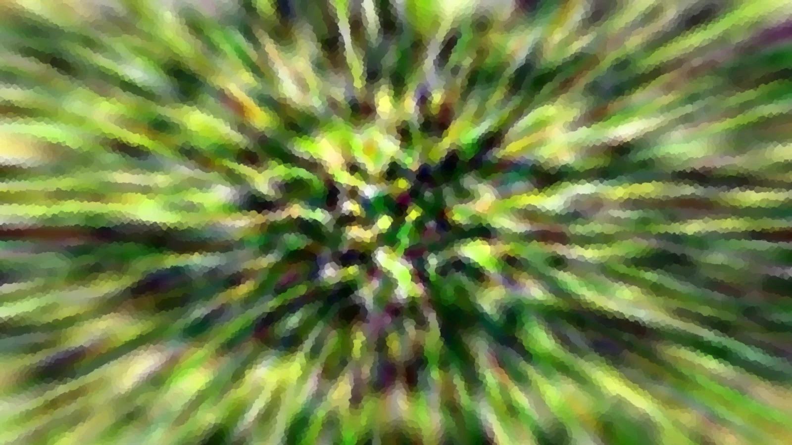 Stark verwischte grüne und gelbe Blätter, die von einem zentralen Punkt radial nach außen strahlen.