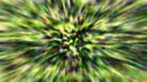 Stark verwischte grüne und gelbe Blätter, die von einem zentralen Punkt radial nach außen strahlen.