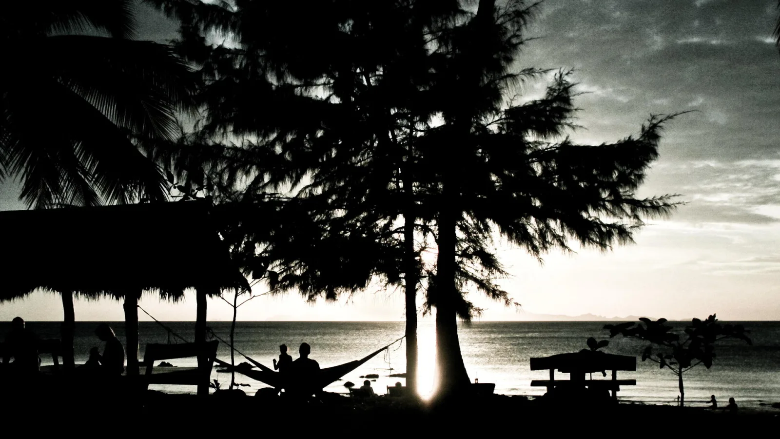 Schwarzweiß-Foto: Palmen und hohe Kiefern am Strand, zwei Menschen in einer Hängematte, dahinter ruhiges Meer im Abendlicht.