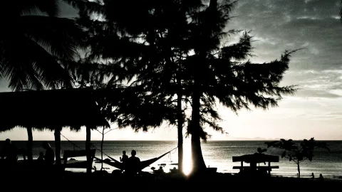 Schwarzweiß-Foto: Palmen und hohe Kiefern am Strand, zwei Menschen in einer Hängematte, dahinter ruhiges Meer im Abendlicht.