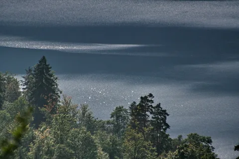 Dunkelblaue Seefläche mit Sonnenreflexen, im Vordergrund ragen Nadel- und Laubbäume ins Bild.