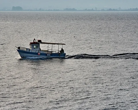 Ein kleines blau-weißes Fischerboot mit Kabine und Sonnendach fährt von rechts nach links über ein graues, leicht gewelltes Meer, im Hintergrund verschwimmt eine bewaldete Küstenlinie im Dunst.