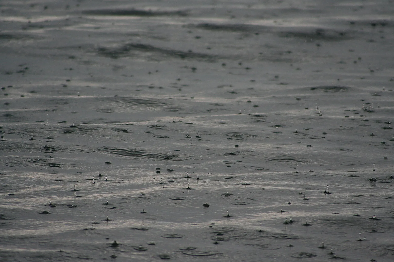 Regen fällt auf eine graue, leicht bewegte Wasseroberfläche, überall kleine Tropfen und Kreise.