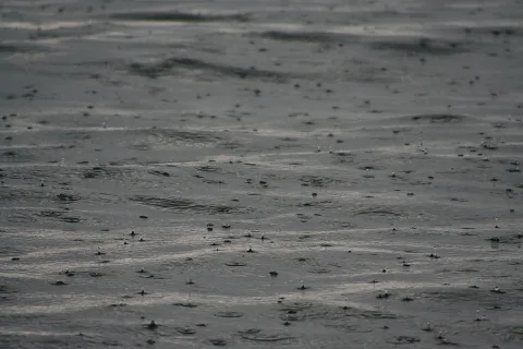 Regen fällt auf eine graue, leicht bewegte Wasseroberfläche, überall kleine Tropfen und Kreise.