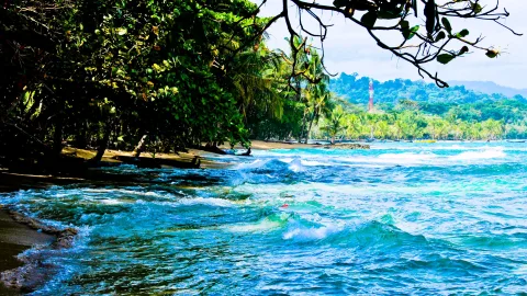 Türkisfarbene Wellen brechen an einem dunklen Sandstrand, links dichter grüner Dschungel, im Hintergrund Palmen und bewaldete Hügel unter hellem Himmel.