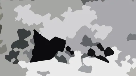 Abstraktes Muster aus unregelmäßigen Flächen in Schwarz, Dunkelgrau, Hellgrau und Weiß, die sich wie ein Tarnmuster über das Bild verteilen.