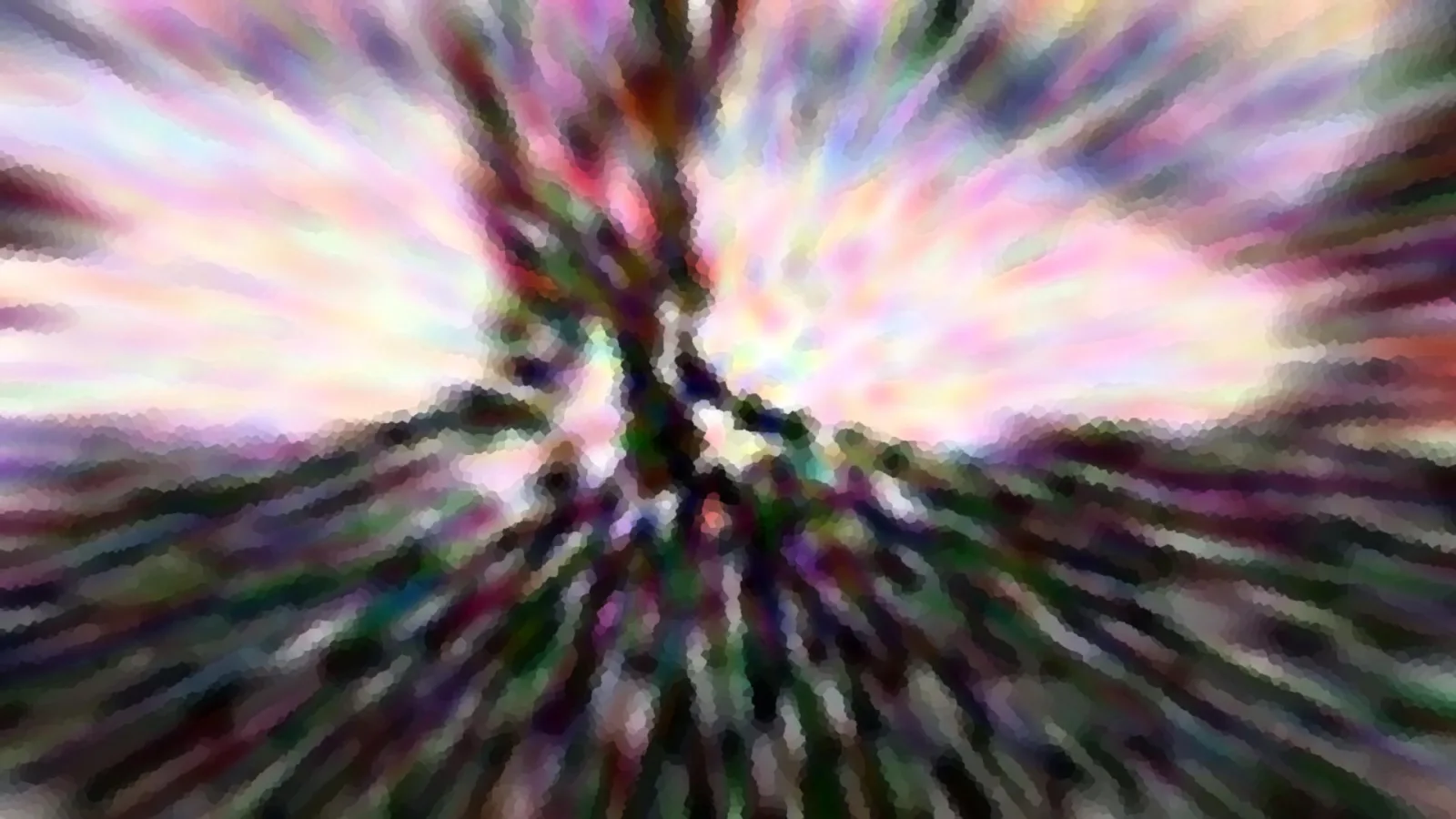 Ein Baum in der Bildmitte, umgeben von radial verwischten Streifen in Rosa, Violett und Grün vor hellem Himmel.