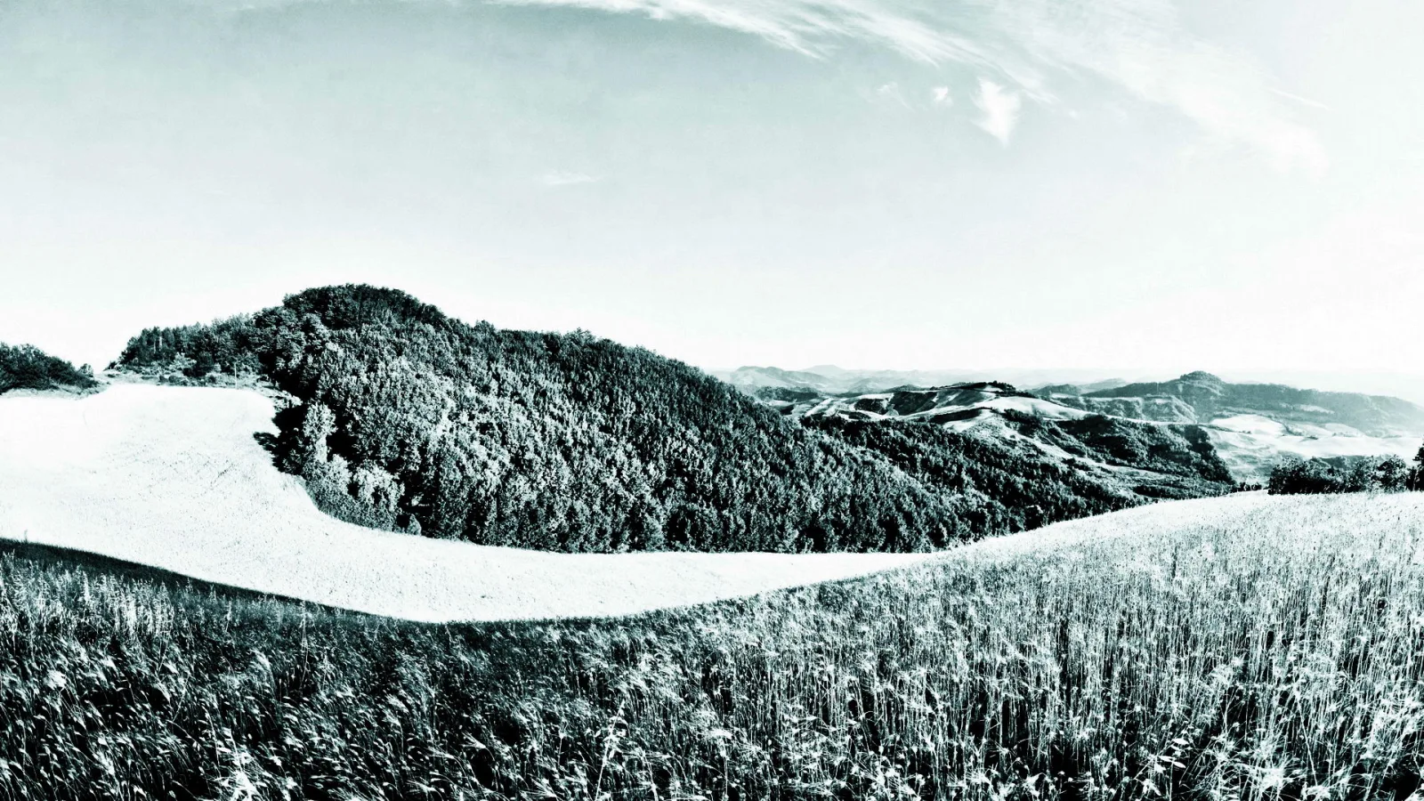 Schwarzweißes Panorama: bewaldeter Hügel, geschwungenes helles Feld im Vordergrund, dahinter weitere Hügel unter weitem Himmel.