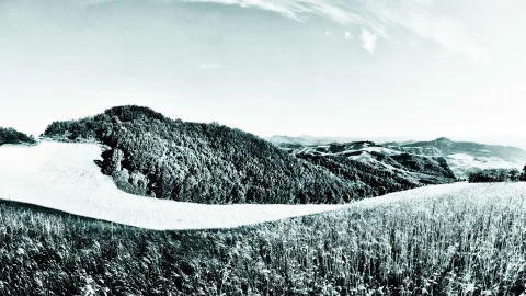 Schwarzweißes Panorama: bewaldeter Hügel, geschwungenes helles Feld im Vordergrund, dahinter weitere Hügel unter weitem Himmel.