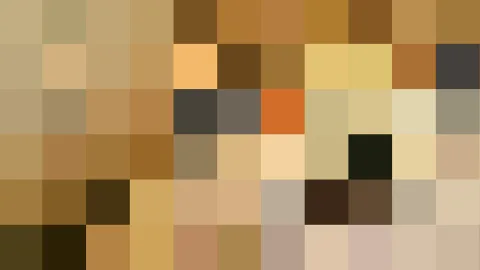 Quadratisches Pixelraster aus 12 Spalten und 6 Zeilen in Beige, Ocker, Braun und Schwarz, ohne erkennbares Motiv.