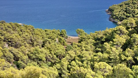 Luftaufnahme einer Bucht mit tiefblauem Meer, umgeben von dichtem, grünem Pinienwald an einer felsigen Küste.