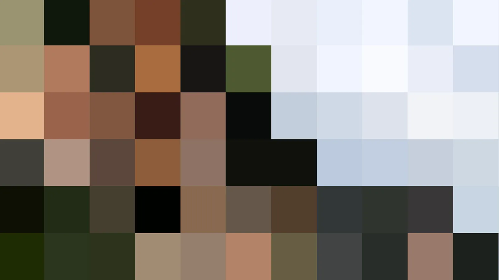 Mosaik aus quadratischen Farbfeldern in Braun, Olivgrün, Schwarz und hellem Blaugrau.