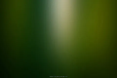 Unscharfer grüner Farbverlauf, in der Mitte oben ein heller, senkrechter Lichtstreifen, nach außen hin dunkler.
