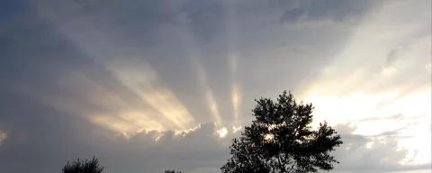 Sonnenstrahlen brechen durch eine graublaue Wolkendecke, rechts leuchtet die Sonne hell, im Vordergrund stehen dunkle Baumsilhouetten.