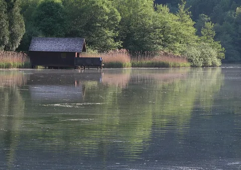 Ein dunkles Holzbootshaus mit Steg steht am grünen Ufer eines Sees, davor Schilf und Bäume, die sich im glatten Wasser spiegeln.