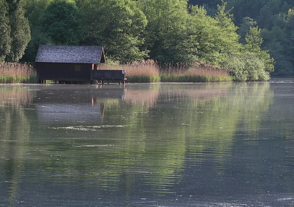 Ein dunkles Holzbootshaus mit Steg steht am grünen Ufer eines Sees, davor Schilf und Bäume, die sich im glatten Wasser spiegeln.