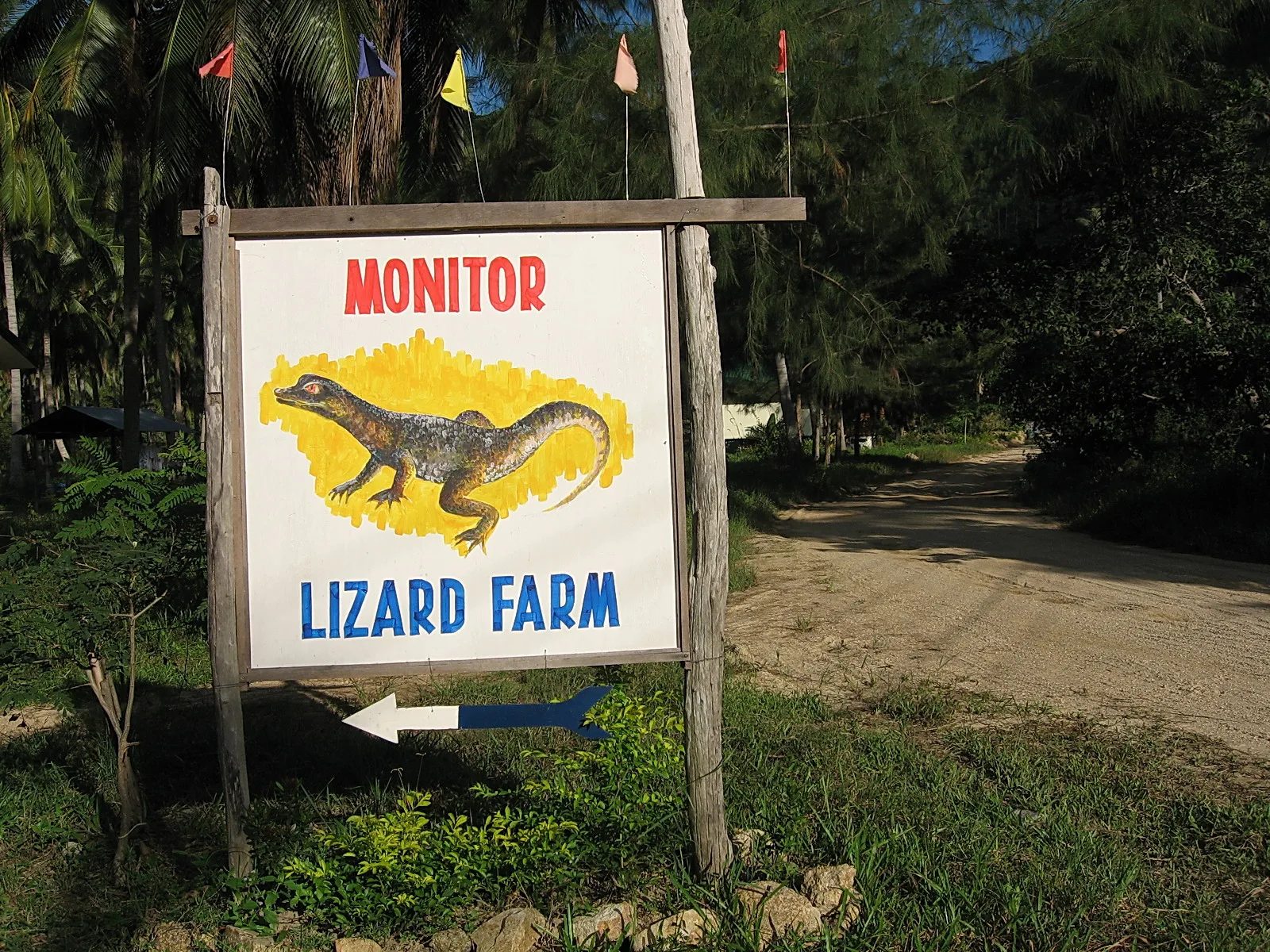 Holzschild mit roter Aufschrift MONITOR und blauer Aufschrift LIZARD FARM, darauf ein gelb hinterlegter Waran, darunter ein blauer Pfeil, davor eine Sandstraße und Palmen