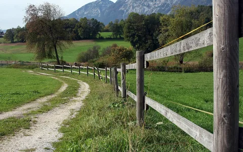 Ein geschwungener Kiesweg führt neben einem grauen Holzzaun über eine grüne Wiese, im Hintergrund stehen Bäume und ein steiler Berg.