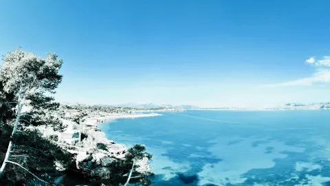Panoramablick auf eine blaue Bucht mit Felsküste, windschiefen Pinien im Vordergrund, weißen Häusern und einem kleinen Hafen am Ufer, darüber ein klarer blauer Himmel.