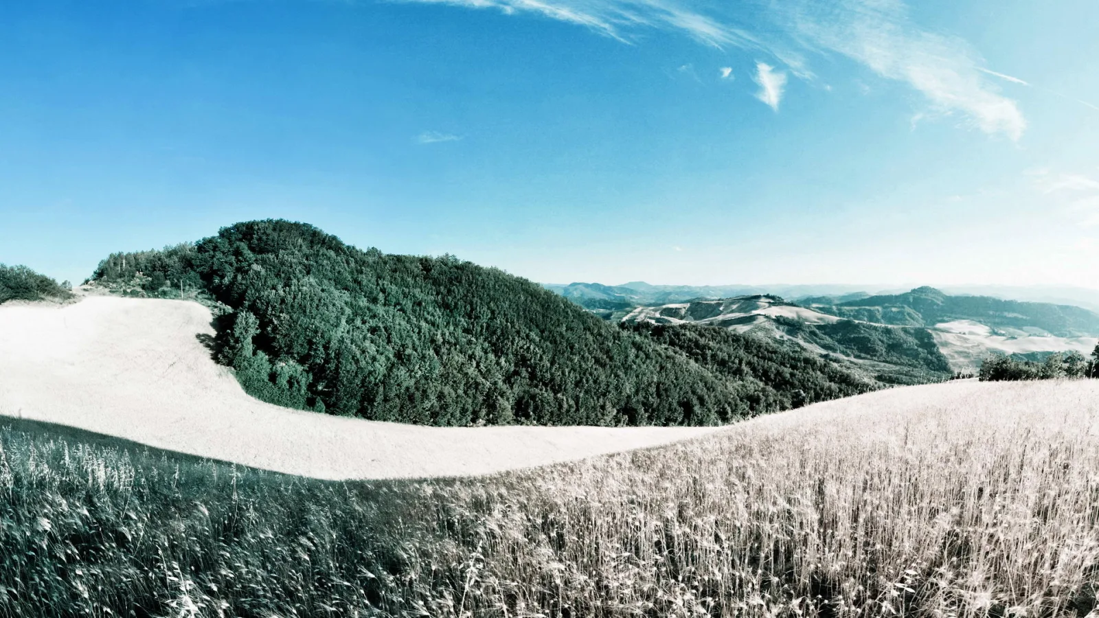 Panoramablick über einen bewaldeten Hügel mit hellem Grasfeld im Vordergrund und sanft gewellten Hügelketten am Horizont unter blauem Himmel.