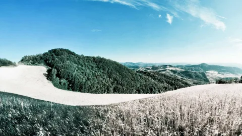 Panoramablick über einen bewaldeten Hügel mit hellem Grasfeld im Vordergrund und sanft gewellten Hügelketten am Horizont unter blauem Himmel.