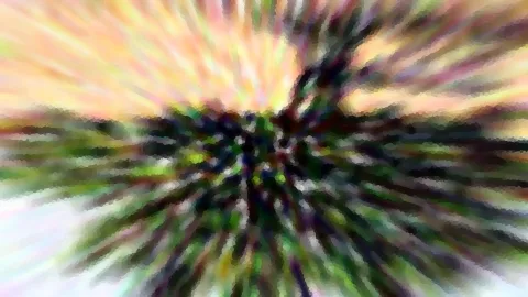 Abstrakte Aufnahme mit radialer Bewegungsunschärfe: dunkles Grün in der Mitte, umgeben von gelben, rosa und orangefarbenen Farbstreifen.