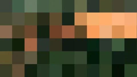 Abstraktes Mosaik aus quadratischen Farbfeldern in Dunkelgrün, Braun und Orange, in neun Zeilen angeordnet.