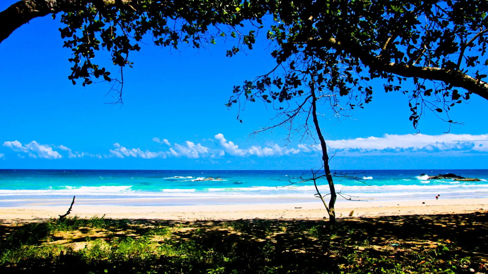 Sandstrand mit türkisfarbenem Meer und weißer Brandung, im Vordergrund überhängender Baum und Schatten auf dem Gras