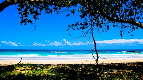 Sandstrand mit türkisfarbenem Meer und weißer Brandung, im Vordergrund überhängender Baum und Schatten auf dem Gras