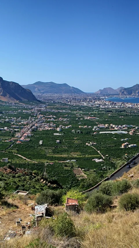 Blick von einer Anhöhe über eine grüne Ebene mit Häusern und Plantagen auf eine Stadt und eine Meeresbucht unter klarem blauem Himmel, im Vordergrund trockenes Gras und Gebüsch.