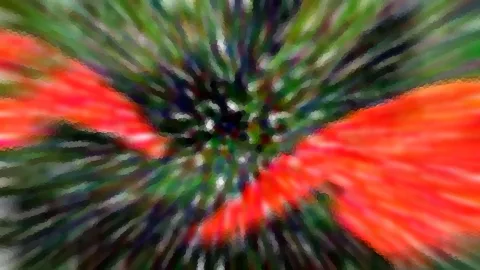 Abstrakte Aufnahme mit radialen Bewegungsstreifen: Rote Flächen links und rechts, grüne und dunkle Streifen laufen zur Mitte zusammen.