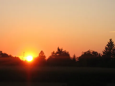 Tief stehende Sonne geht hinter einer Baumreihe unter, der Himmel leuchtet orange, Bäume und Feld sind dunkel silhouettiert.