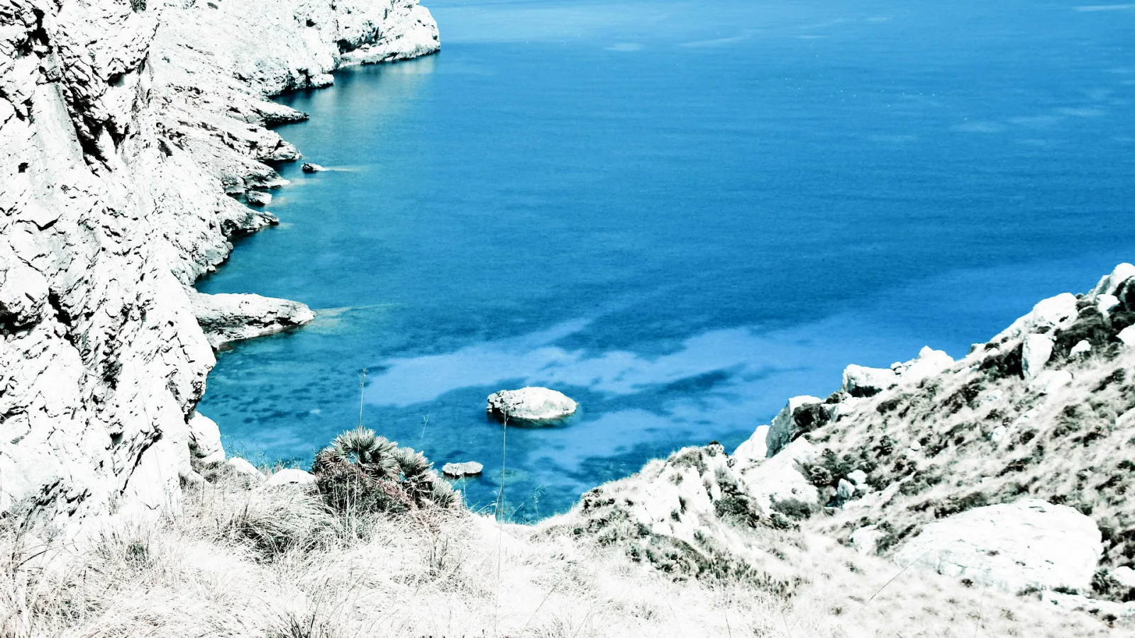 Blaues Meer in einer Felsbucht, links und rechts weiße Felsen, im Wasser ein Felsbrocken, im Vordergrund eine Agave.