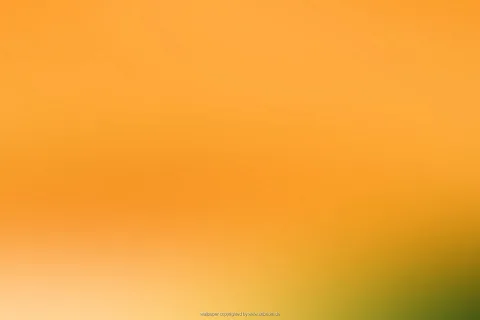 Weicher Farbverlauf von Orange über Gelb bis zu Grün in der unteren rechten Ecke, am unteren Rand hell cremefarben.