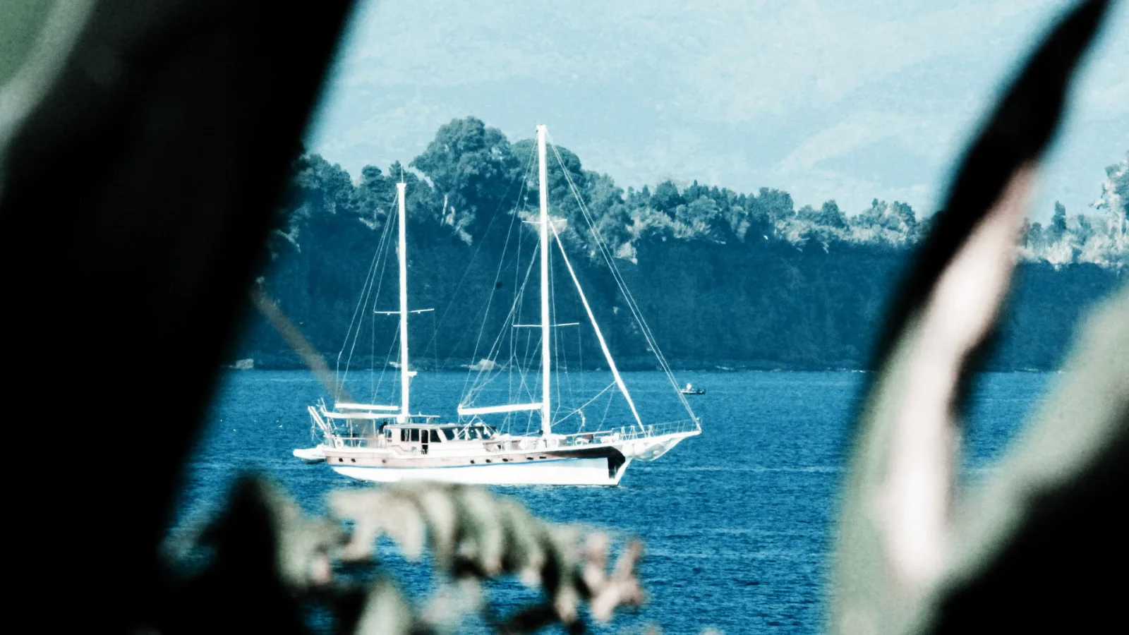 Ein weißes Segelschiff mit zwei Masten liegt auf ruhigem blauem Wasser vor einer dicht bewaldeten Küste, im Vordergrund unscharfe Blätter.