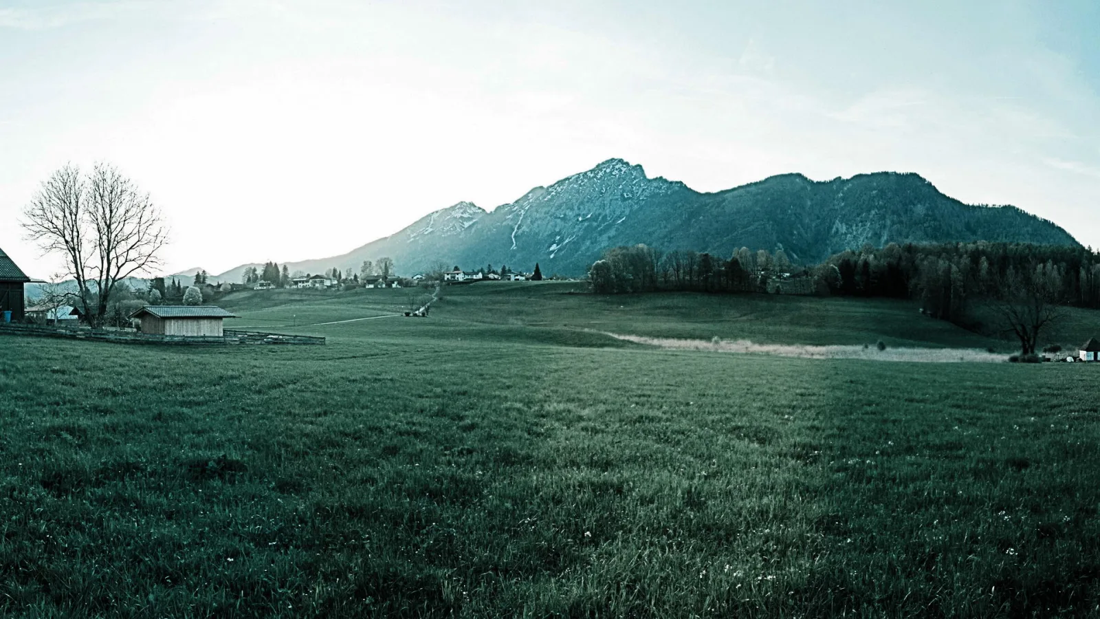 Weite grüne Wiese vor einer Bergkette unter hellem Himmel, links ein kahler Baum und ein Holzschuppen, rechts ein Waldstreifen.