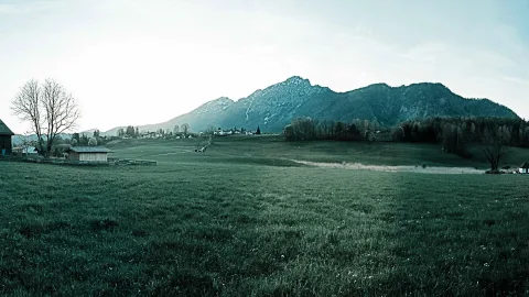 Weite grüne Wiese vor einer Bergkette unter hellem Himmel, links ein kahler Baum und ein Holzschuppen, rechts ein Waldstreifen.