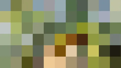Pixelmosaik aus grünen, graublauen, braunen und beigen Quadraten, unten in der Mitte ein heller Farbfleck.