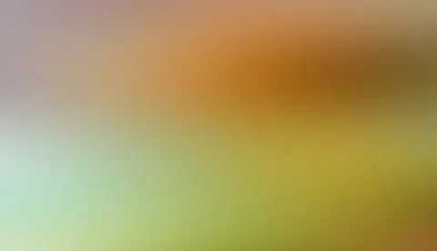 Unscharfer Farbverlauf von Orange und Braun im oberen Bereich, der nach unten in Grün und Gelbgrün übergeht.
