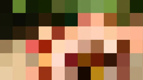 Rasterbild aus quadratischen Farbfeldern in Grün, Braun, Rot und Hautfarben, ohne klar erkennbare Einzelmotive.