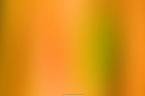 Unscharfer Farbverlauf in Orange, Gelb und Olivgrün mit vertikalen Schlieren, am unteren Rand heller.