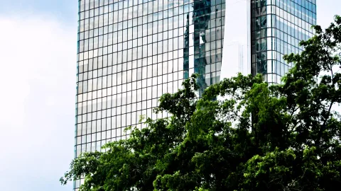 Hohes Glasgebäude mit gerastertem Fensterraster, davor eine dichte grüne Baumkrone, links heller bewölkter Himmel